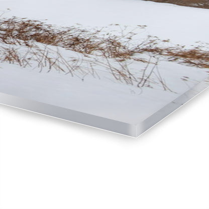 U R There Photography Five Lakes Hidden Red Rustic Farmhouse Acrylic Wall Print