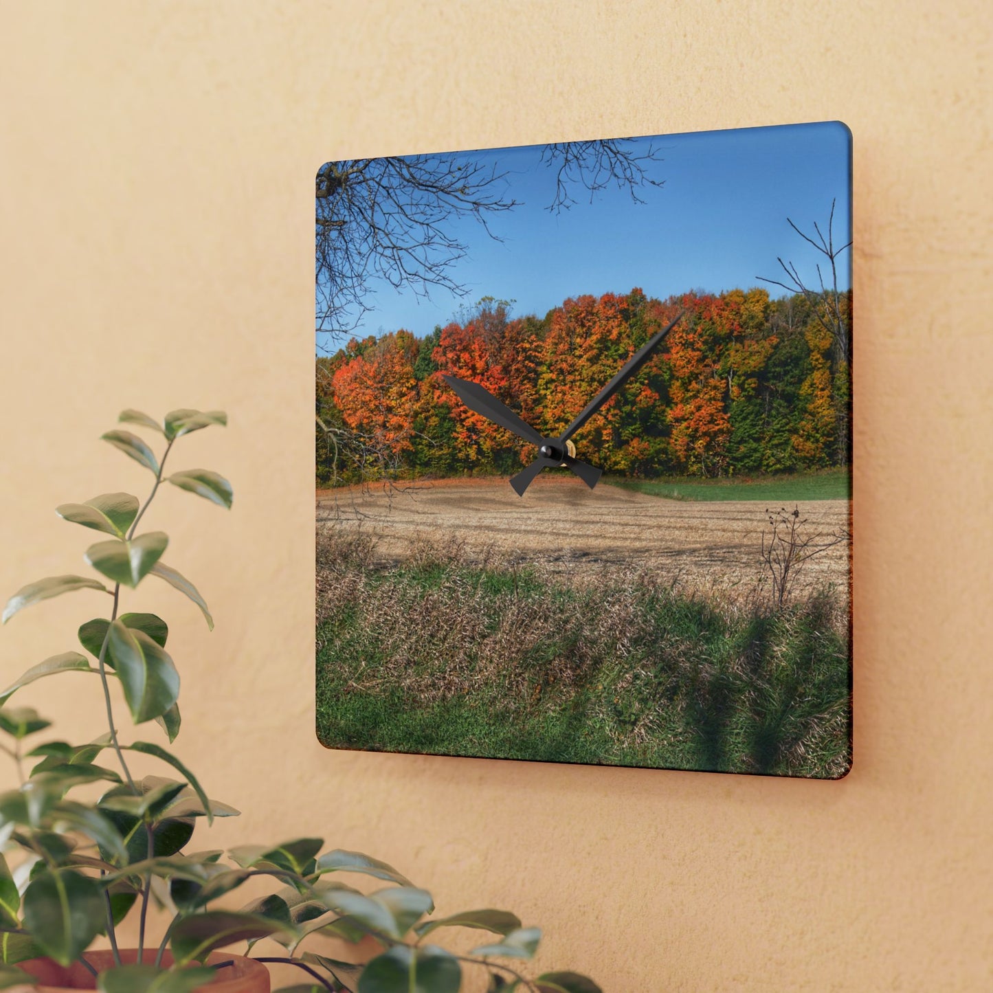 U R There Photography Fall on Piersonville Road Rustic Farmhouse Acrylic Analog Wall Clock