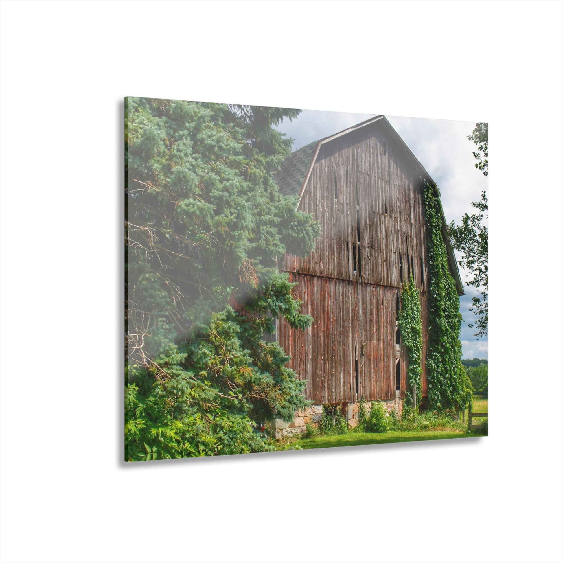 U R There Photography North Branch Ivy Grey I Rustic Farmhouse Acrylic Wall Print