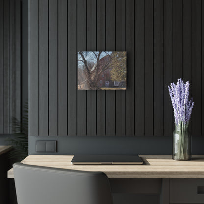 U R There Photography Lakeville Road Hidden Red Rustic Farmhouse Acrylic Wall Print