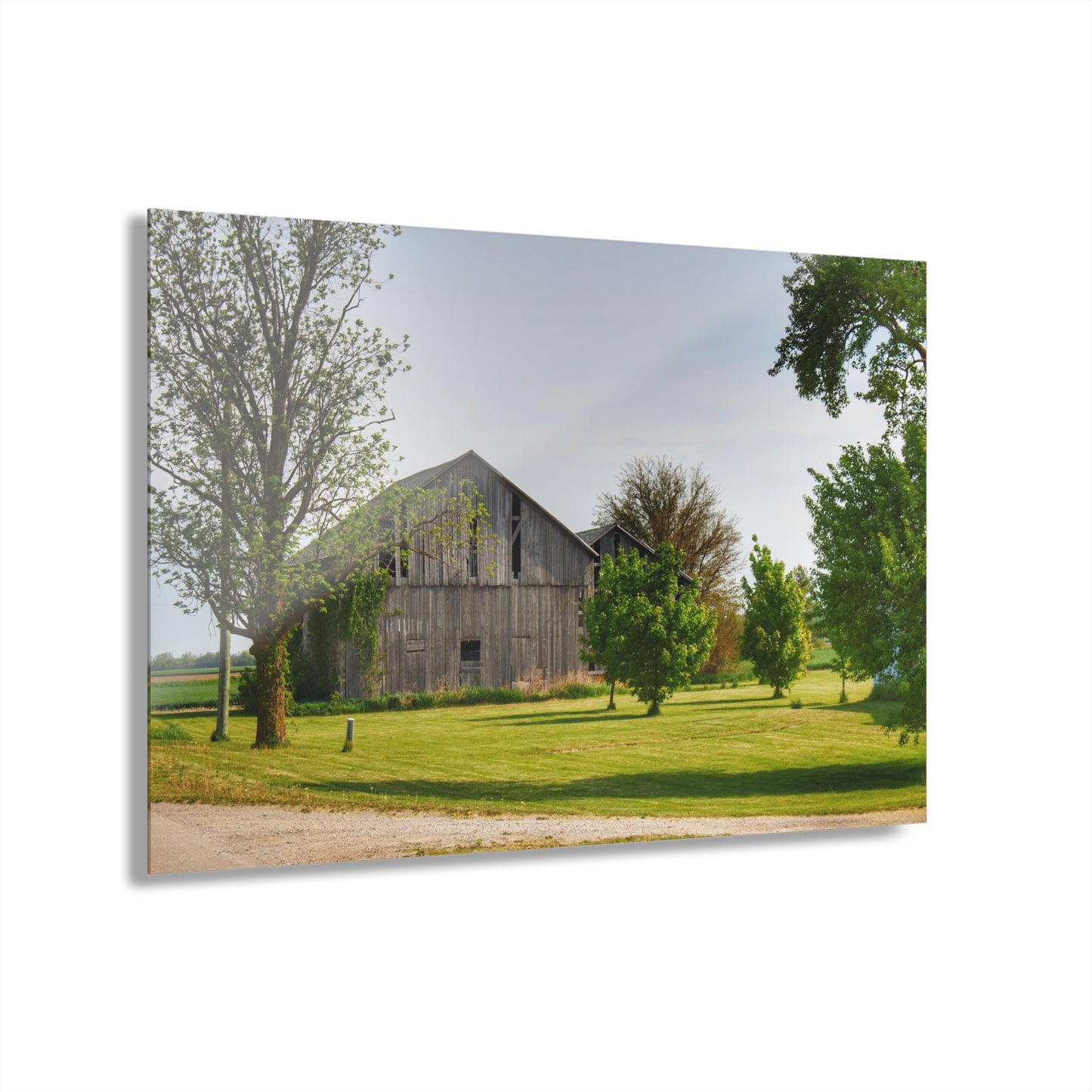 U R There Photography Caro Road Twin Greys II Rustic Farmhouse Acrylic Wall Print
