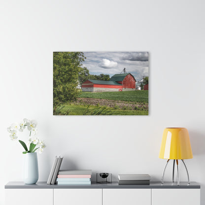 U R There Photography Haines Road Cornfield Reds Rustic Farmhouse Acrylic Wall Print