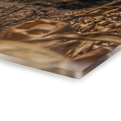 U R There Photography Fulmer Road Greys Rustic Farmhouse Acrylic Wall Print