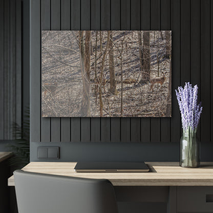 U R There Photography Three Does of Dryden Rustic Farmhouse Acrylic Wall Print