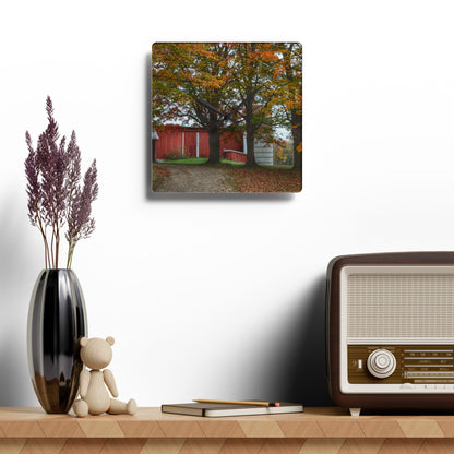 U R There Photography Brown Road Red in the Fall Rustic Farmhouse Acrylic Analog Wall Clock