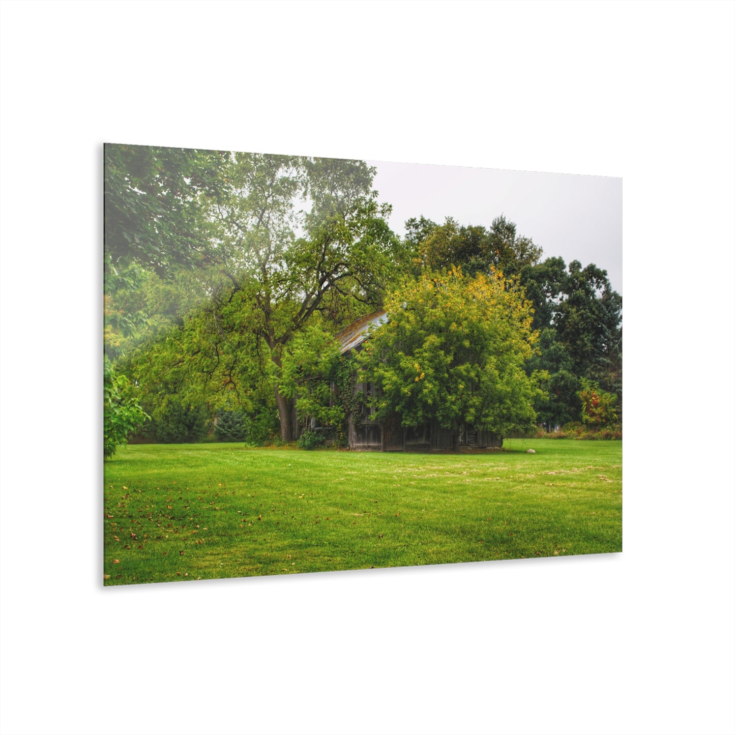 U R There Photography Hidden Past Rustic Farmhouse Acrylic Wall Print