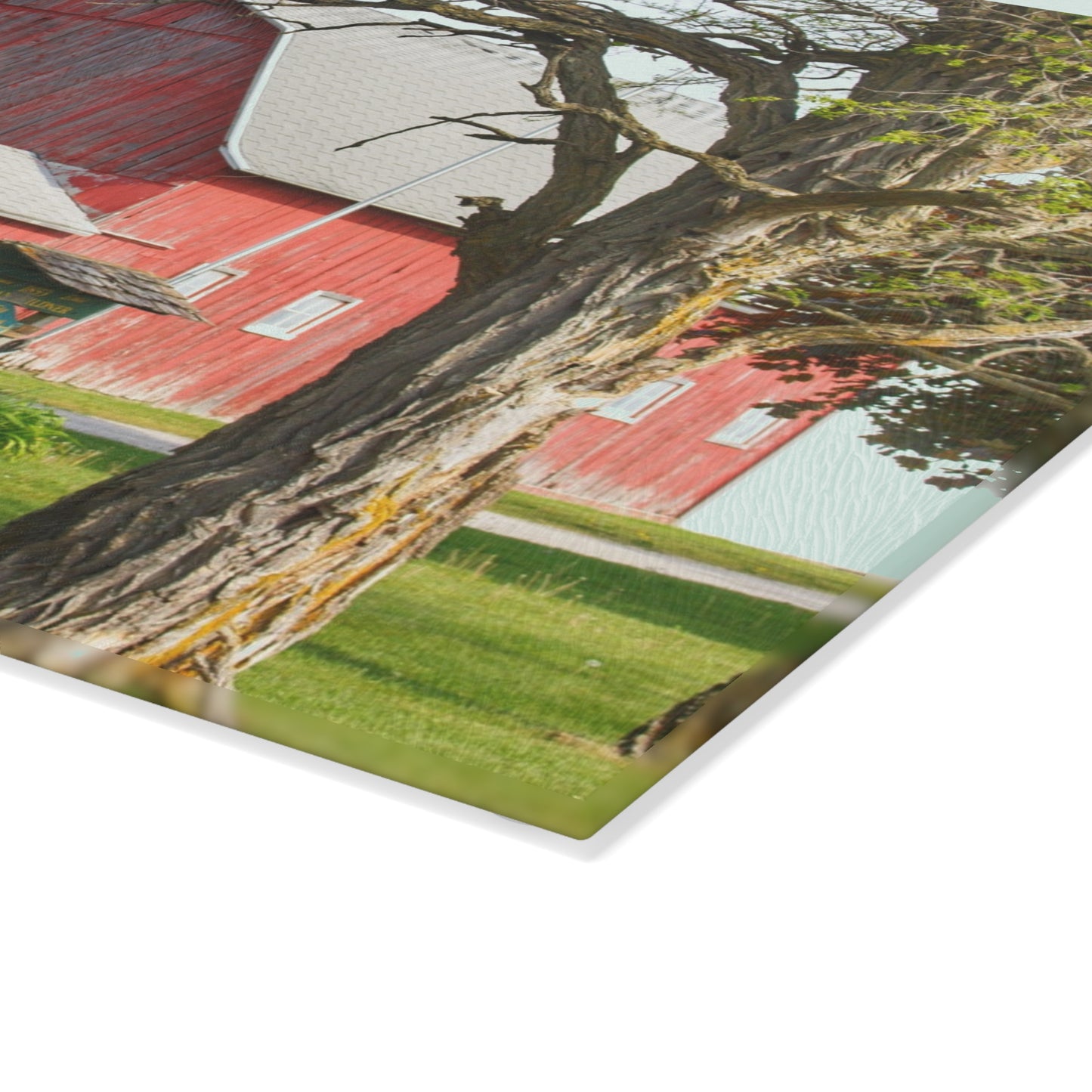 U R There Photography French Road Centennial Reds I Rustic Farmhouse Tempered-Glass Cutting Board