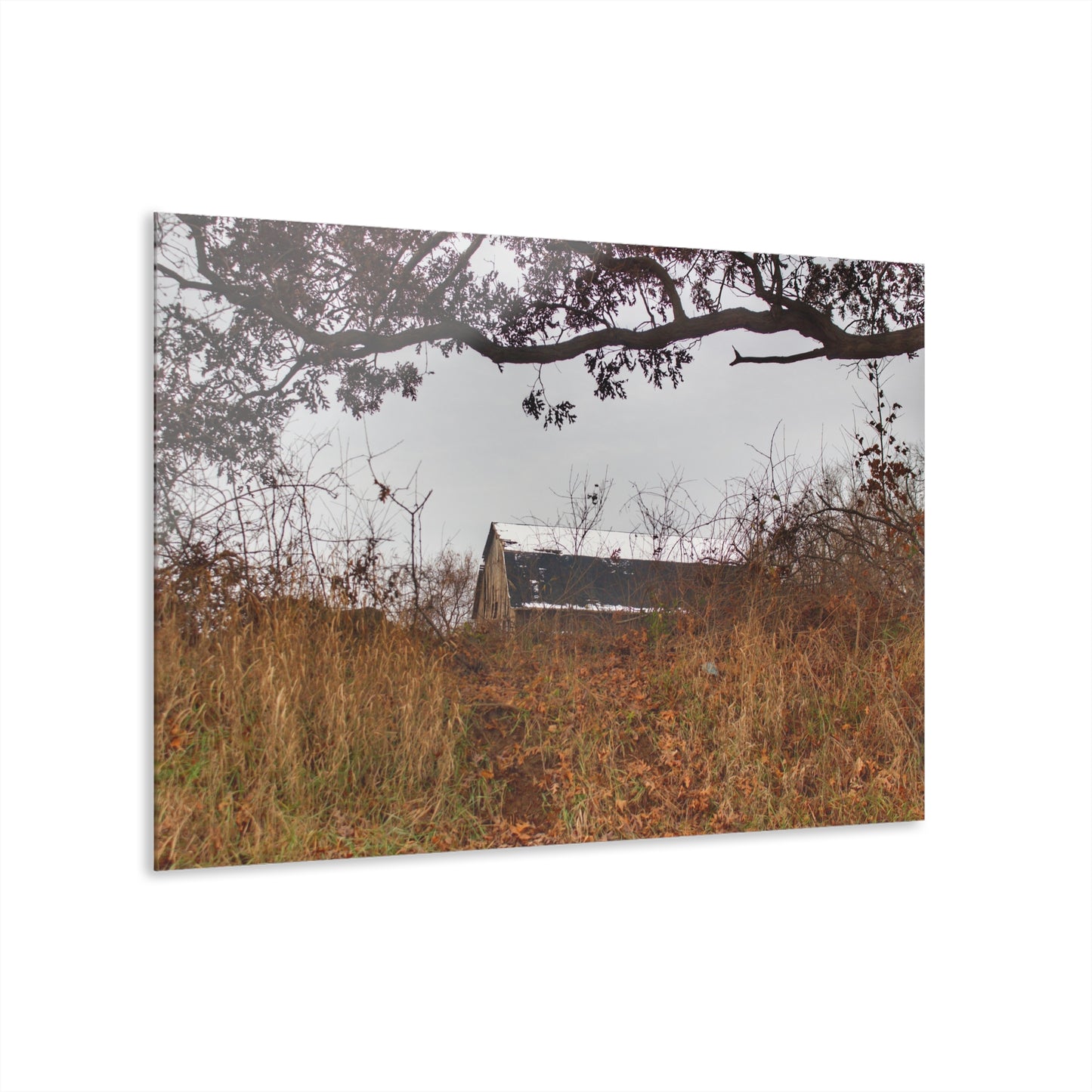 U R There Photography North Oxford Road Grey II Rustic Farmhouse Acrylic Wall Print