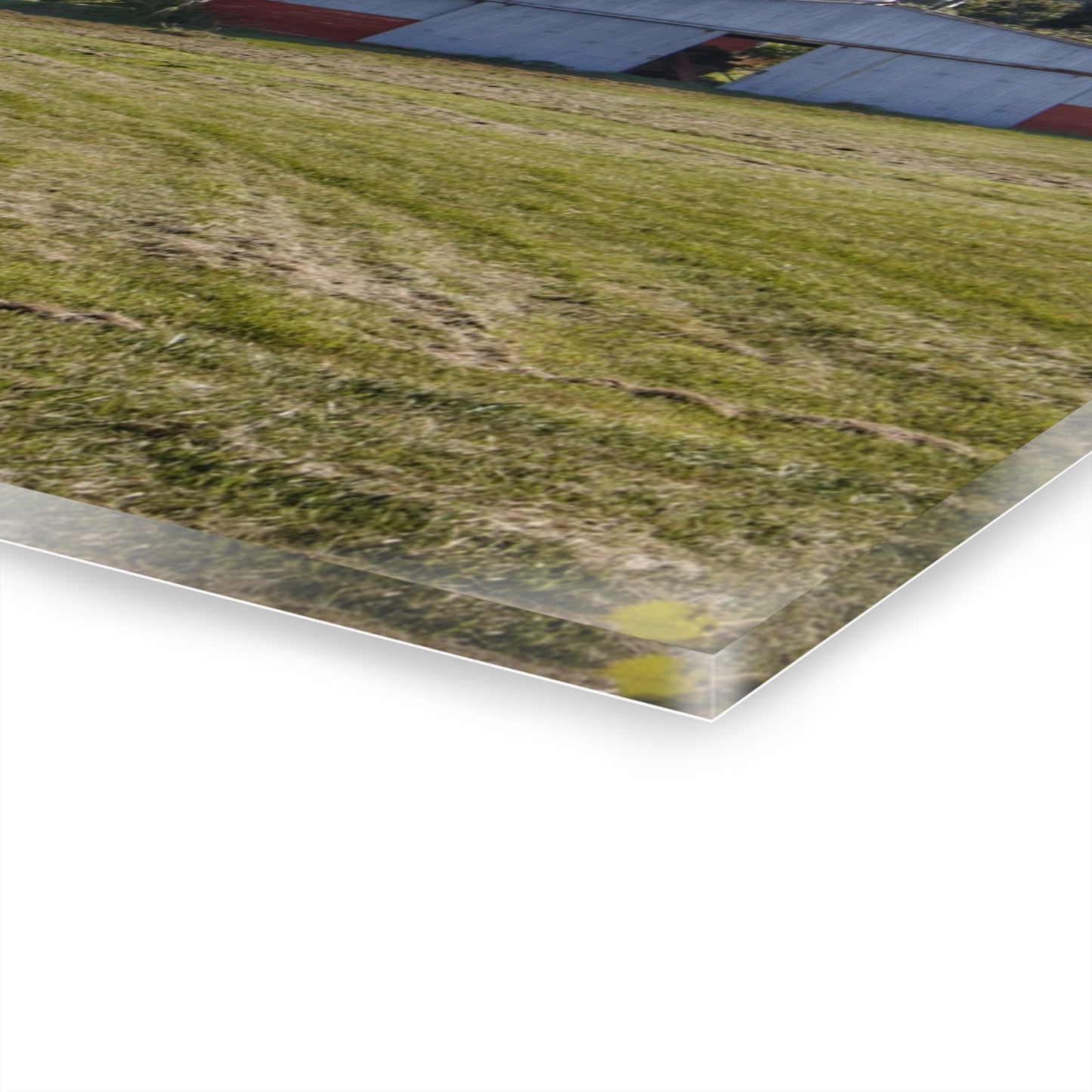 U R There Photography Havens Road Grey Rustic Farmhouse Acrylic Wall Print