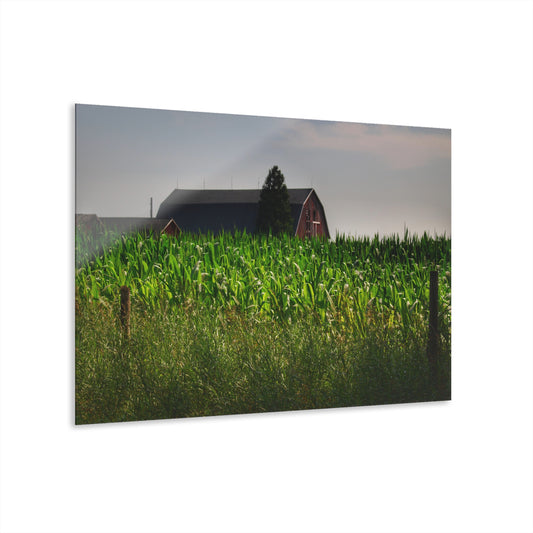 U R There Photography Beyond the Corn in Metamora Rustic Farmhouse Acrylic Wall Print