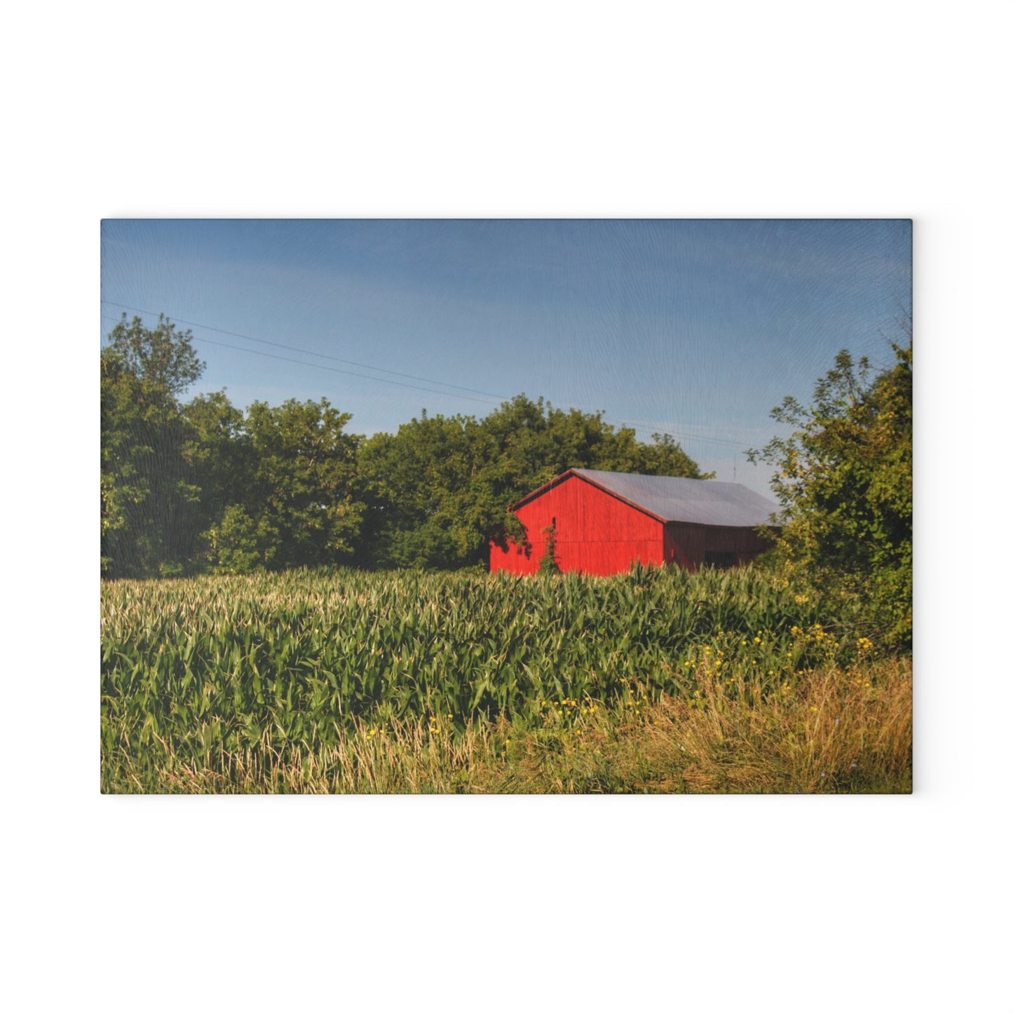 U R There Photography Willard Road Red II Rustic Farmhouse Tempered-Glass Cutting Board