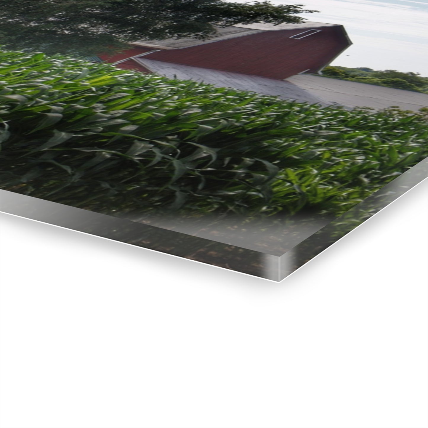 U R There Photography Above the Corn on Piersonville Road III Rustic Farmhouse Acrylic Wall Print