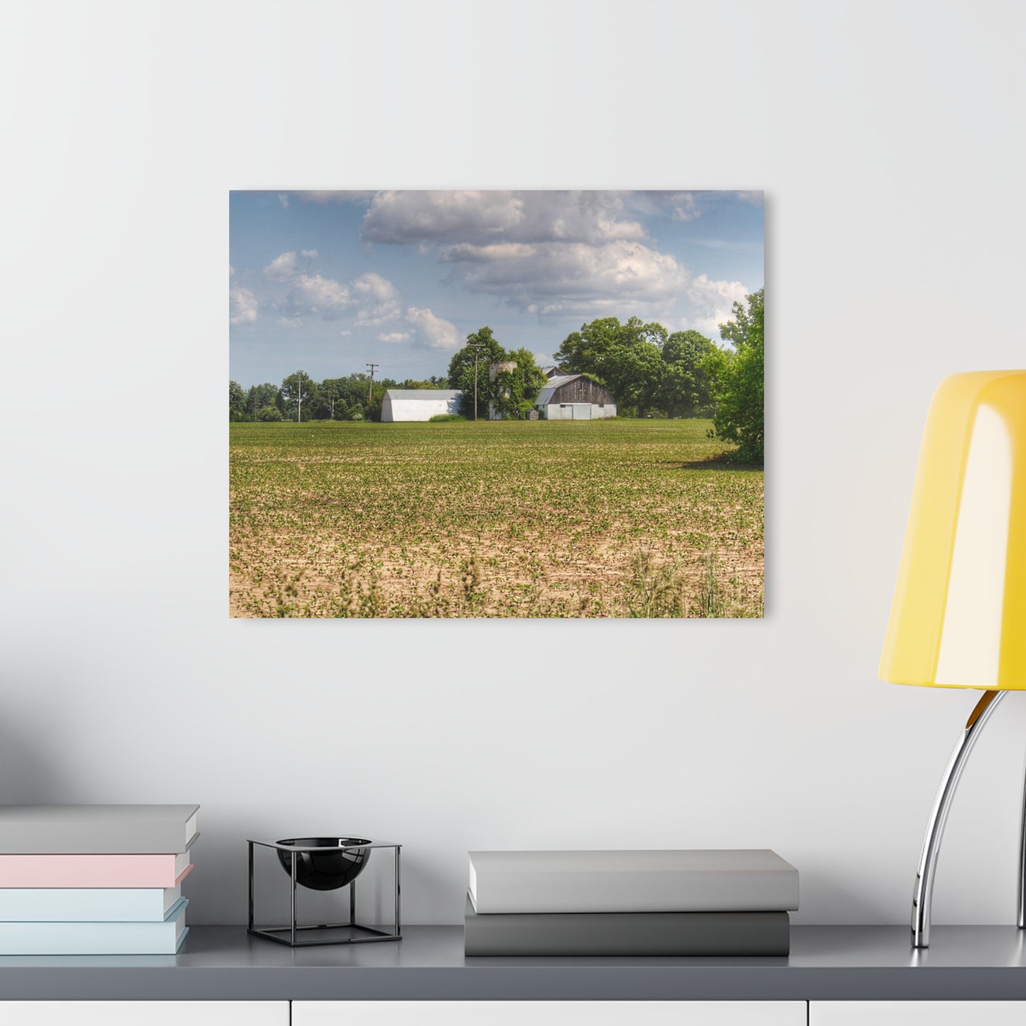 U R There Photography Willard Road White Rustic Farmhouse Acrylic Wall Print