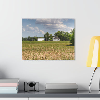 U R There Photography Willard Road White Rustic Farmhouse Acrylic Wall Print