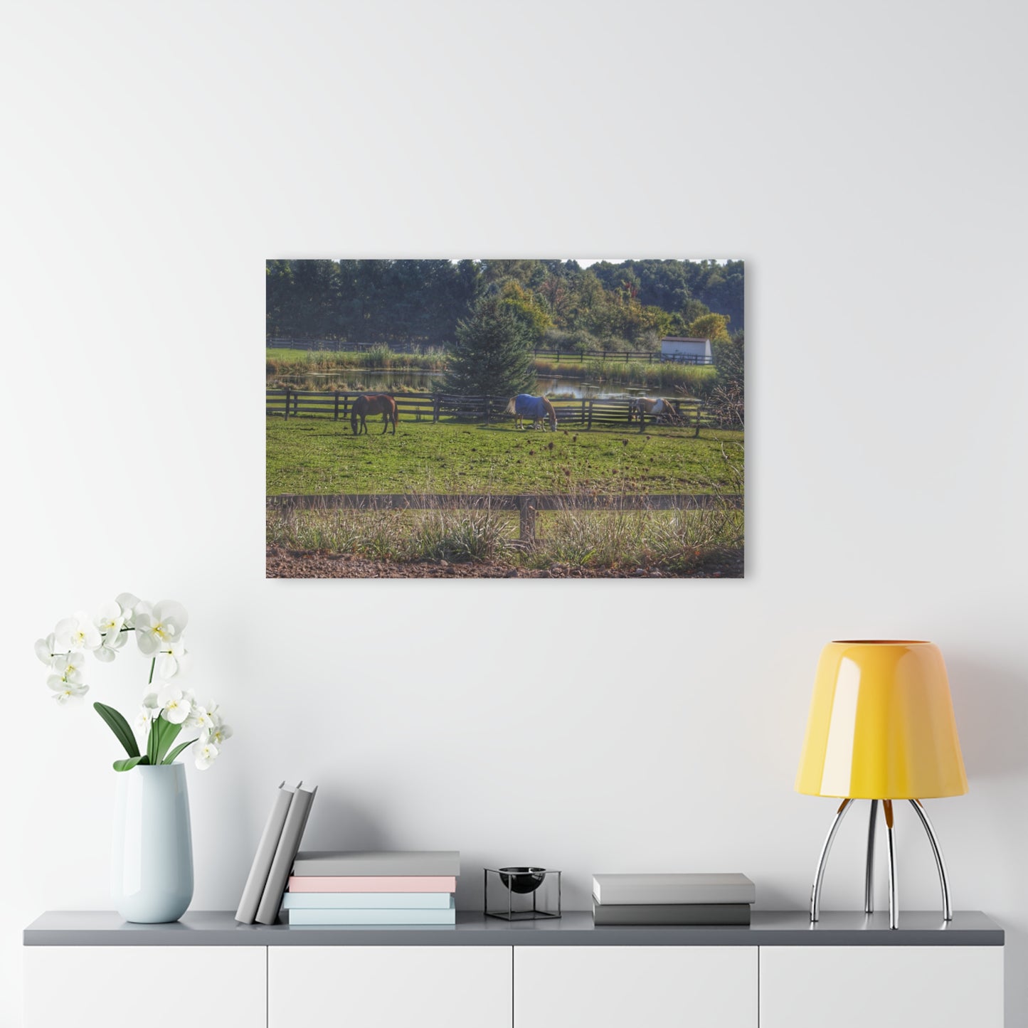 Barn Boutique Modern Farmhouse Acrylic Wall Print| Lake George Ponies