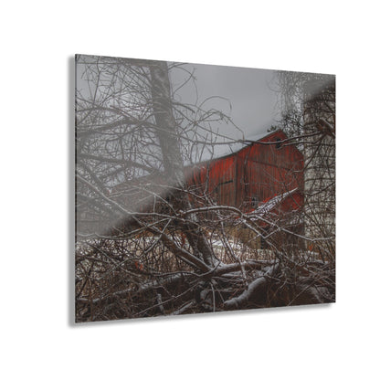 U R There Photography Sandhill Road Hidden Red II Rustic Farmhouse Acrylic Wall Print