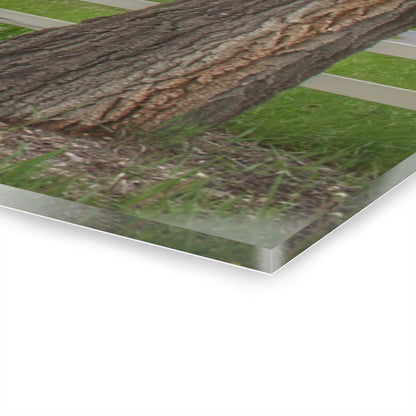 U R There Photography Lake George Road Fox Green Rustic Farmhouse Acrylic Wall Print