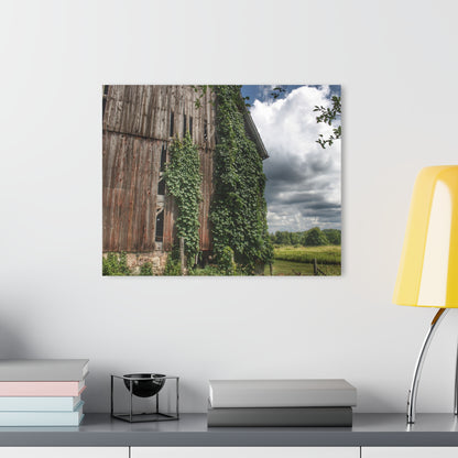 U R There Photography North Branch Ivy Grey II Rustic Farmhouse Acrylic Wall Print