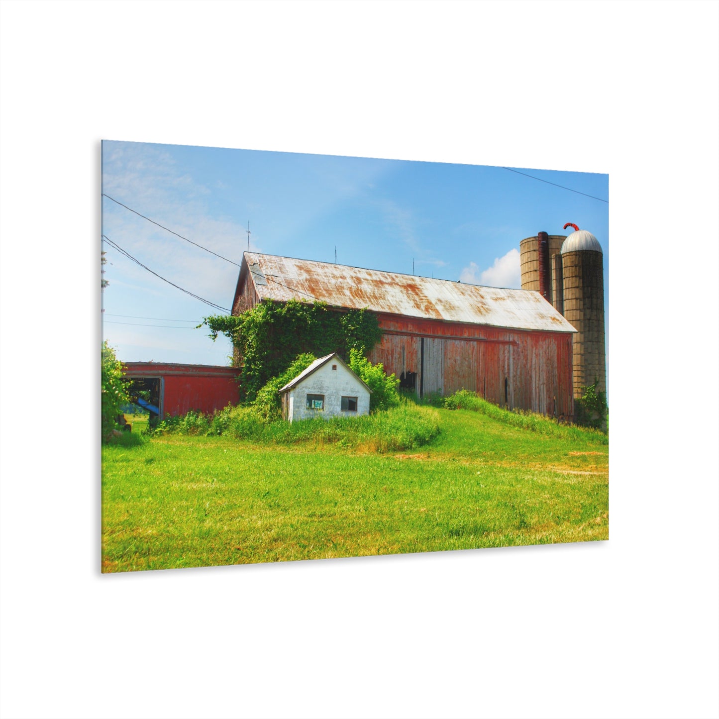 U R There Photography Marlette Red I Rustic Farmhouse Acrylic Wall Print
