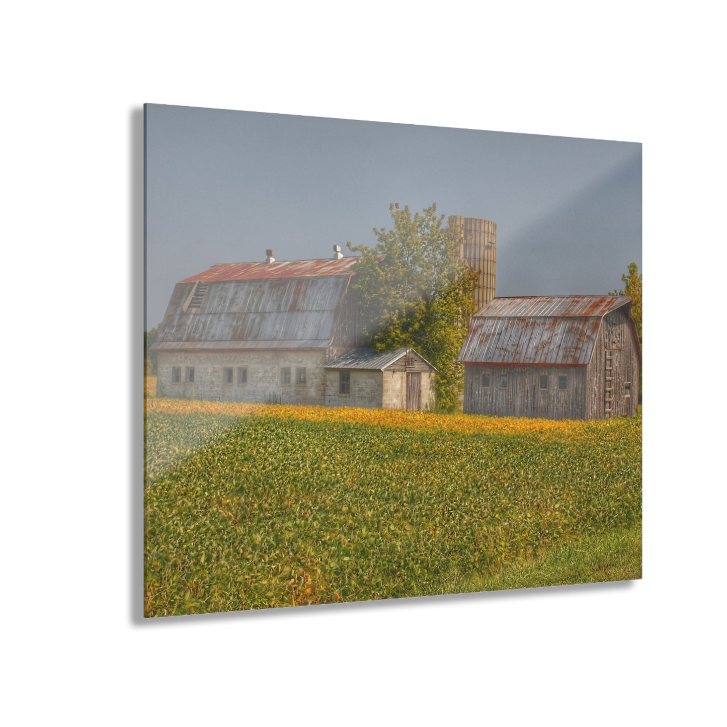 U R There Photography Swaffer Road Duo Rustic Farmhouse Acrylic Wall Print