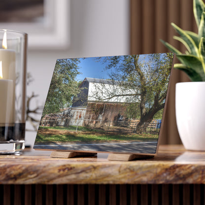 U R There Photography Birch Run Road Grey Rustic Farmhouse Decorative Ceramic Tile