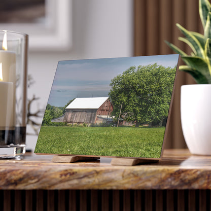 U R There Photography Castle Road Cow Barn III Rustic Farmhouse Decorative Ceramic Tile