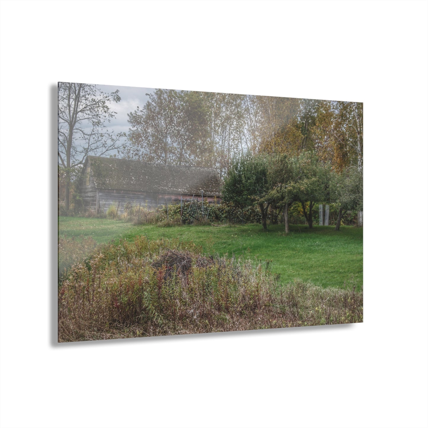 U R There Photography Grey Shack of Elmwood Rustic Farmhouse Acrylic Wall Print