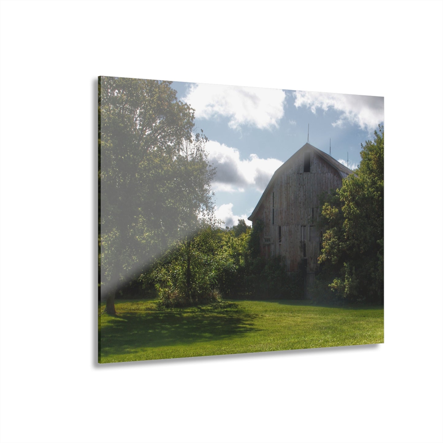 U R There Photography Oakwood Grey Rustic Farmhouse Acrylic Wall Print