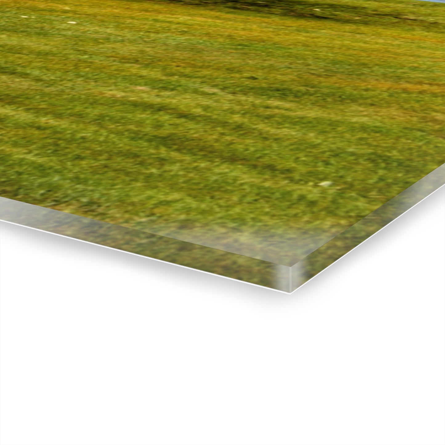 U R There Photography M-24 Hilltop Grey Rustic Farmhouse Acrylic Wall Print