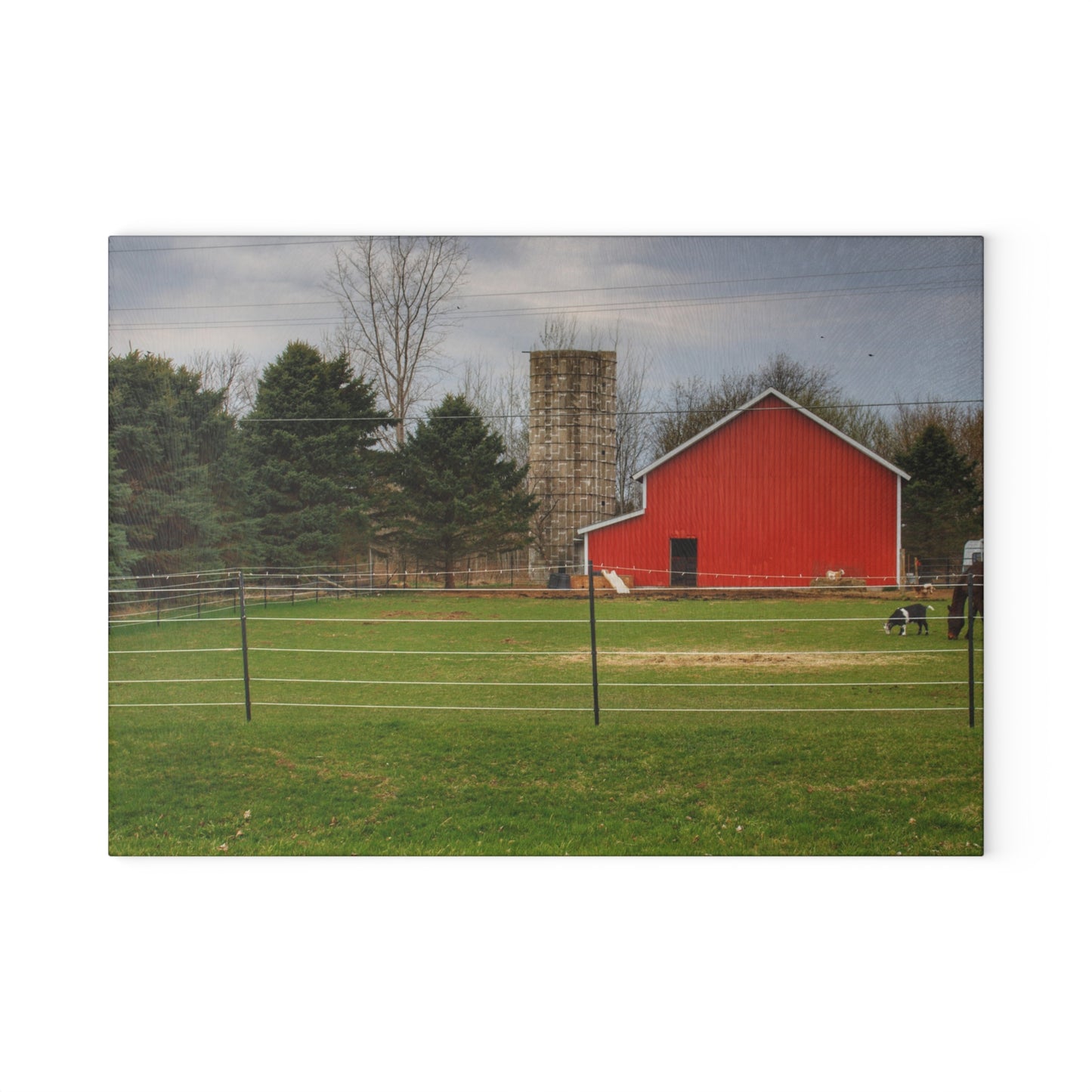 U R There Photography Fostoria Little Red Rustic Farmhouse Tempered-Glass Cutting Board
