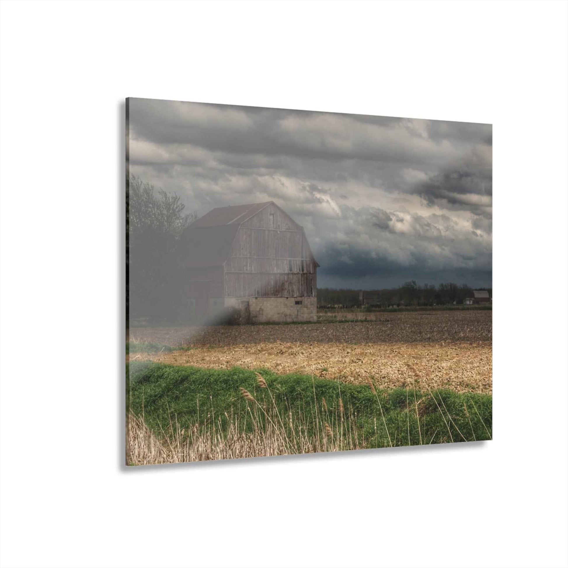 U R There Photography Sandusky Grey I Rustic Farmhouse Acrylic Wall Print