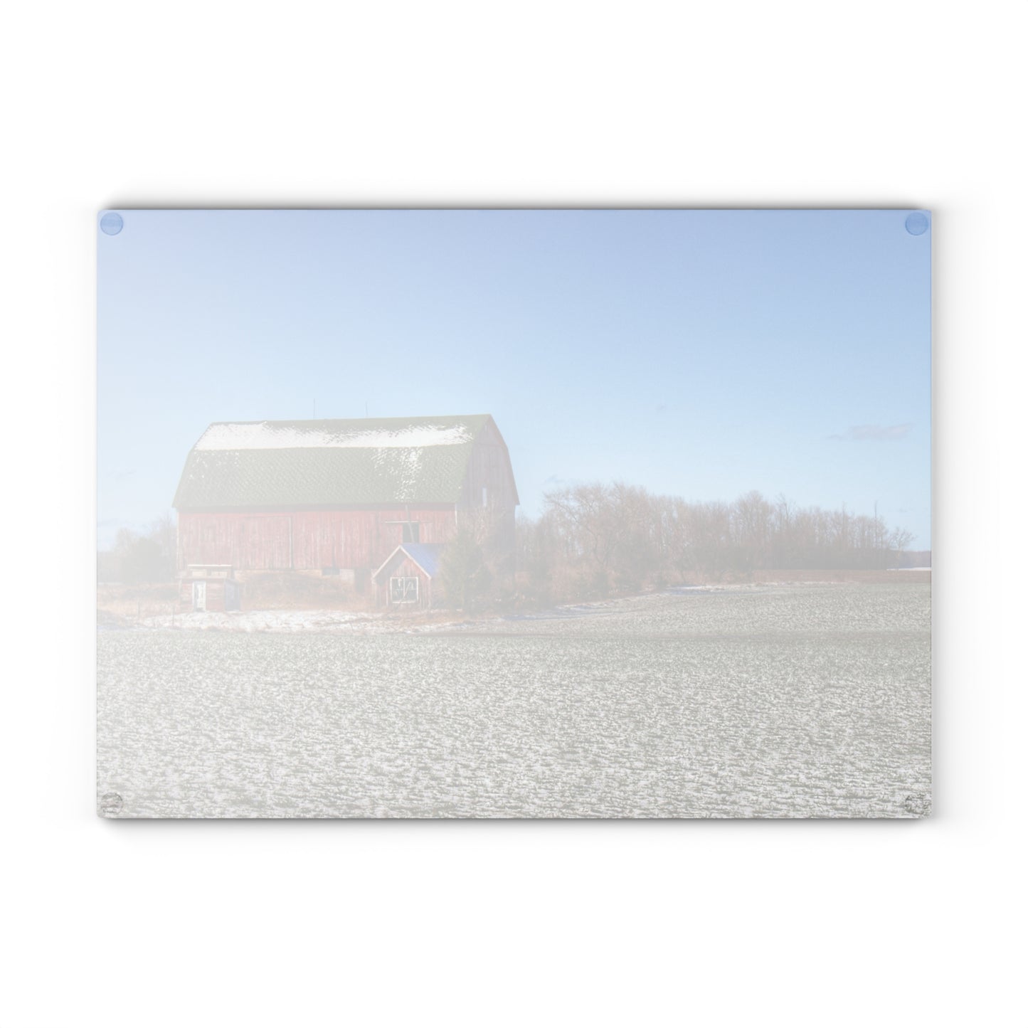 U R There Photography Early Spring Red II Rustic Farmhouse Tempered-Glass Cutting Board