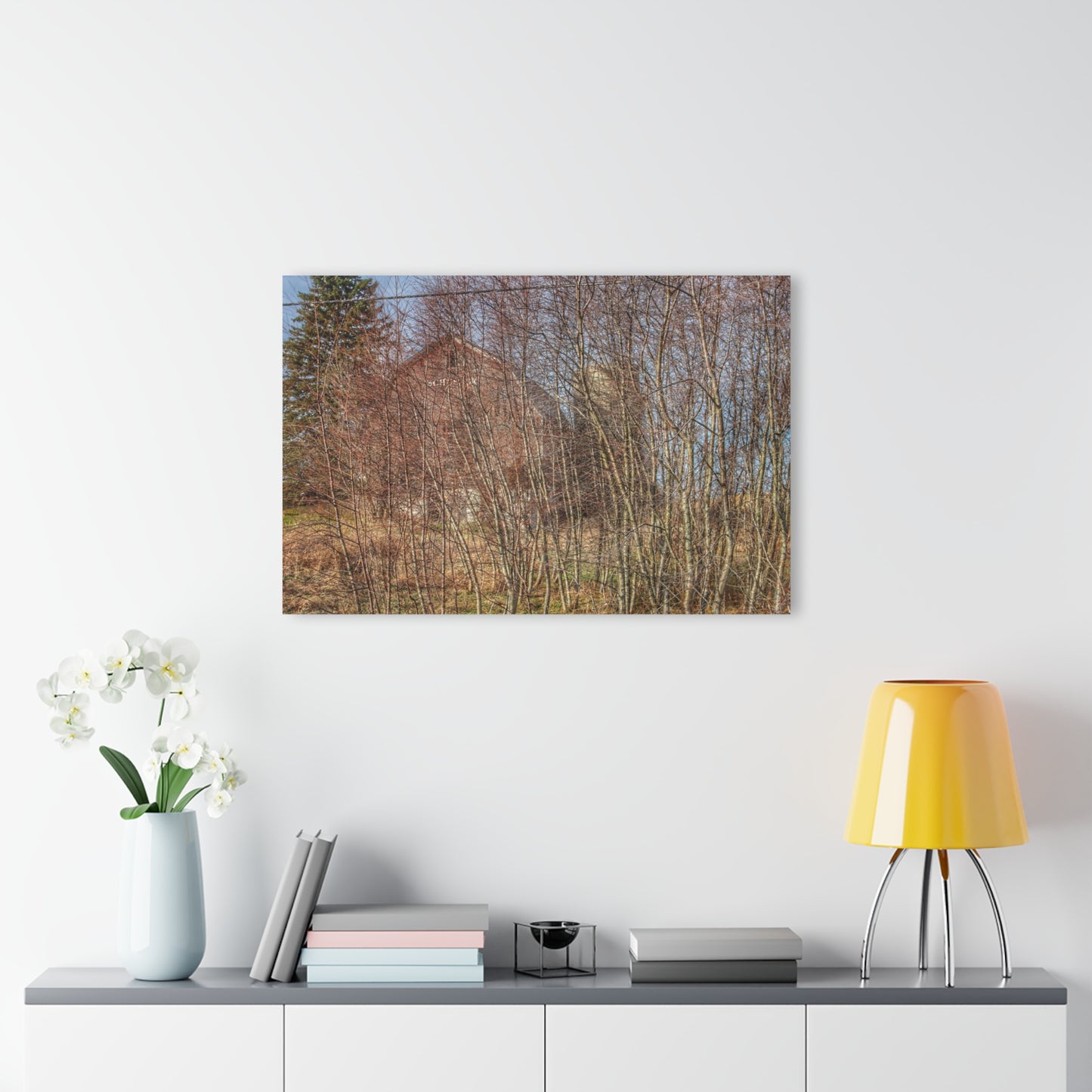 U R There Photography Otter Lake Hidden Red Rustic Farmhouse Acrylic Wall Print