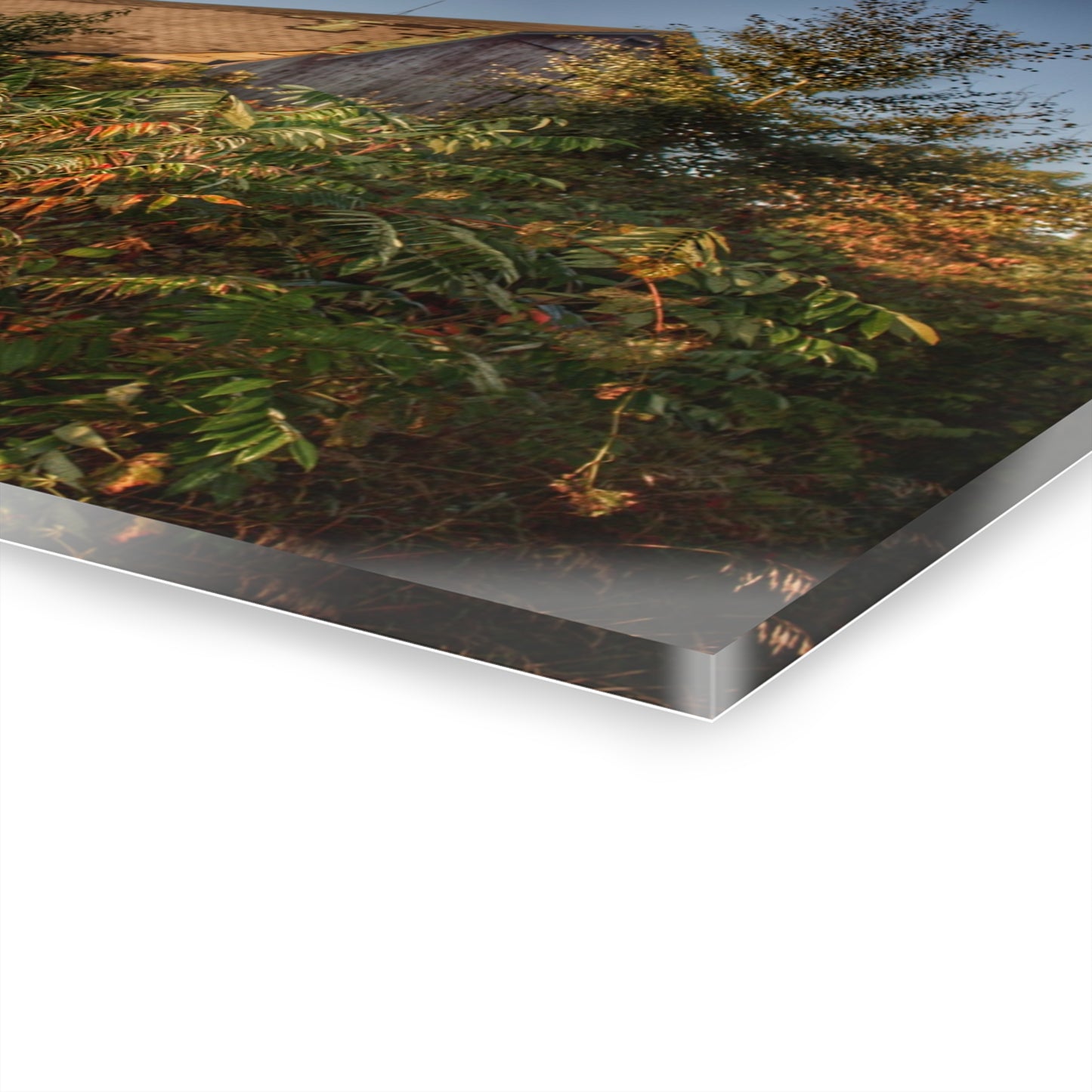 U R There Photography Hidden on Bearanger Road Rustic Farmhouse Acrylic Wall Print