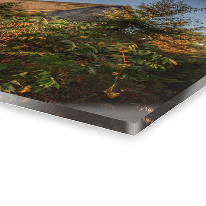 U R There Photography Hidden on Bearanger Road Rustic Farmhouse Acrylic Wall Print