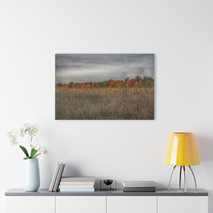 U R There Photography Fall on Murphy Lake V Rustic Farmhouse Acrylic Wall Print