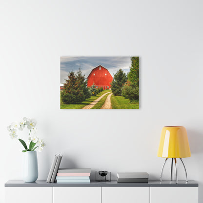 U R There Photography Brown City Road Pine Red Rustic Farmhouse Acrylic Wall Print