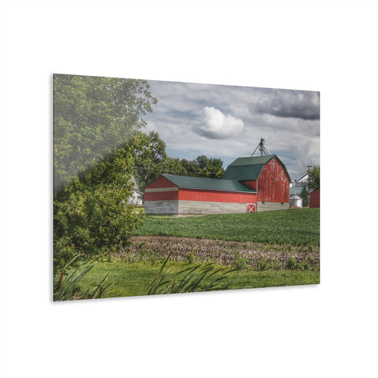 U R There Photography Haines Road Cornfield Reds Rustic Farmhouse Acrylic Wall Print