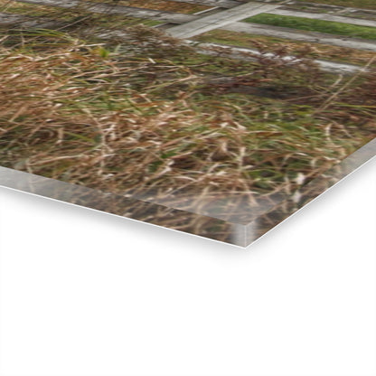 U R There Photography Millville Road Horses on the Hill Rustic Farmhouse Acrylic Wall Print