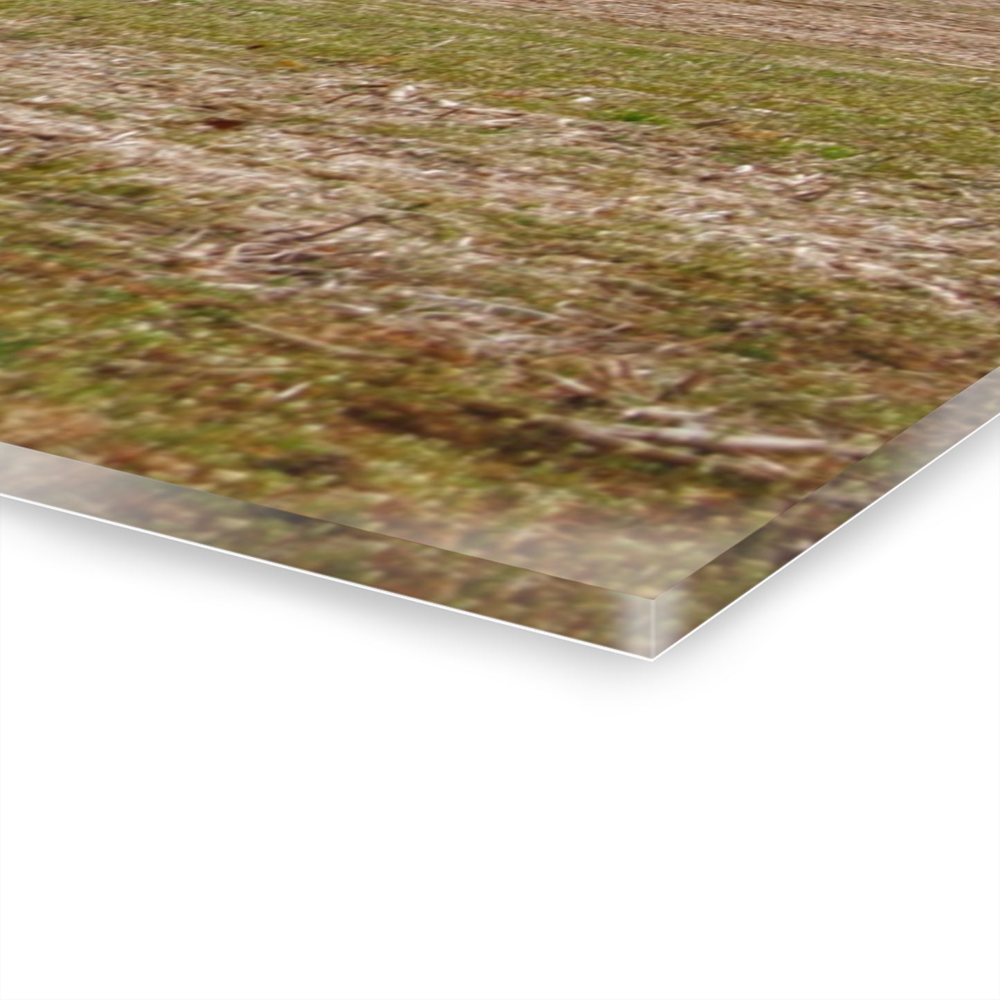 U R There Photography Hidden Millington Road Red Rustic Farmhouse Acrylic Wall Print