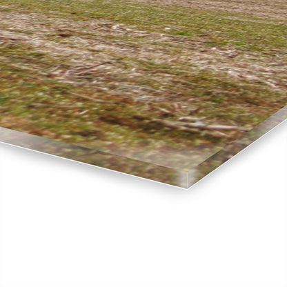 U R There Photography Hidden Millington Road Red Rustic Farmhouse Acrylic Wall Print