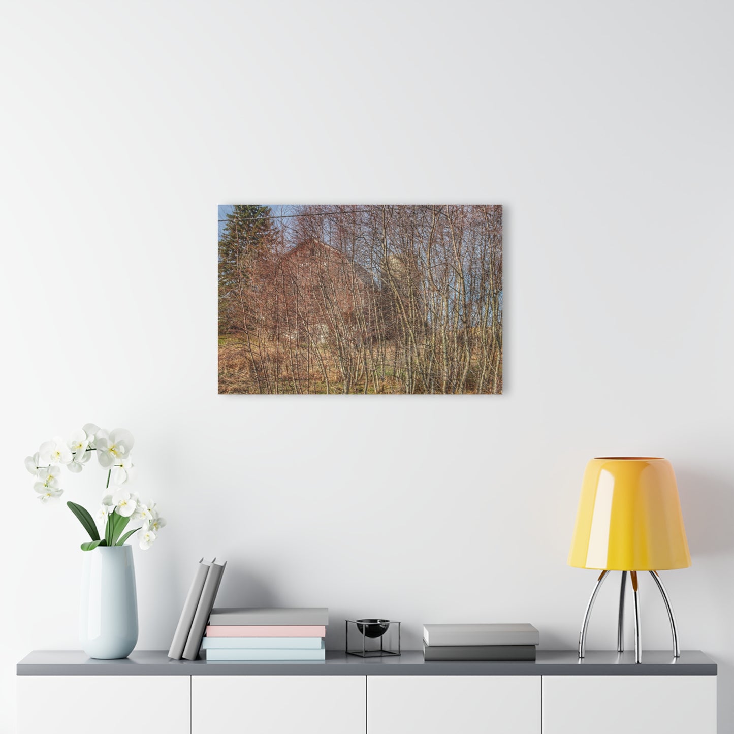 U R There Photography Otter Lake Hidden Red Rustic Farmhouse Acrylic Wall Print