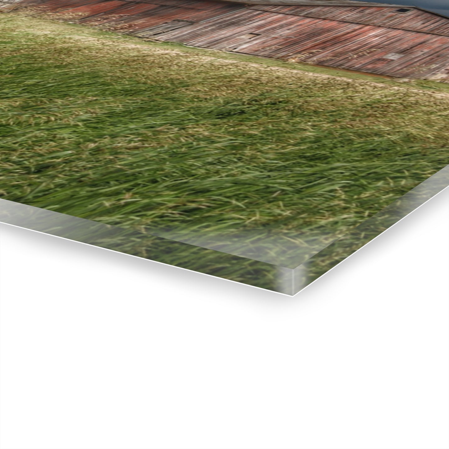 U R There Photography Hunters Creek Reds Rustic Farmhouse Acrylic Wall Print