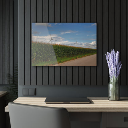 U R There Photography Gilford Road Corn Row Rustic Farmhouse Acrylic Wall Print