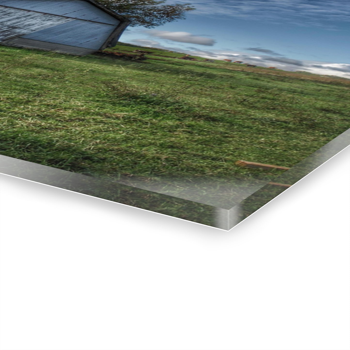 U R There Photography East Frances Quonset and Cows Rustic Farmhouse Acrylic Wall Print