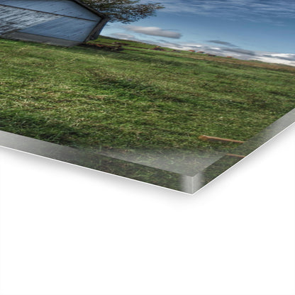 U R There Photography East Frances Quonset and Cows Rustic Farmhouse Acrylic Wall Print