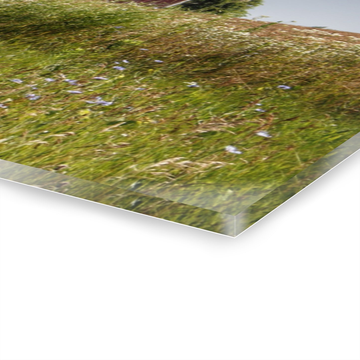 U R There Photography North Lake Pleasant Little Red I Rustic Farmhouse Acrylic Wall Print