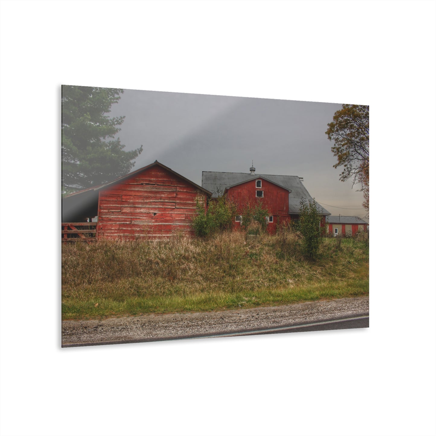 U R There Photography Goodrich Baldwin Road Reds I Rustic Farmhouse Acrylic Wall Print