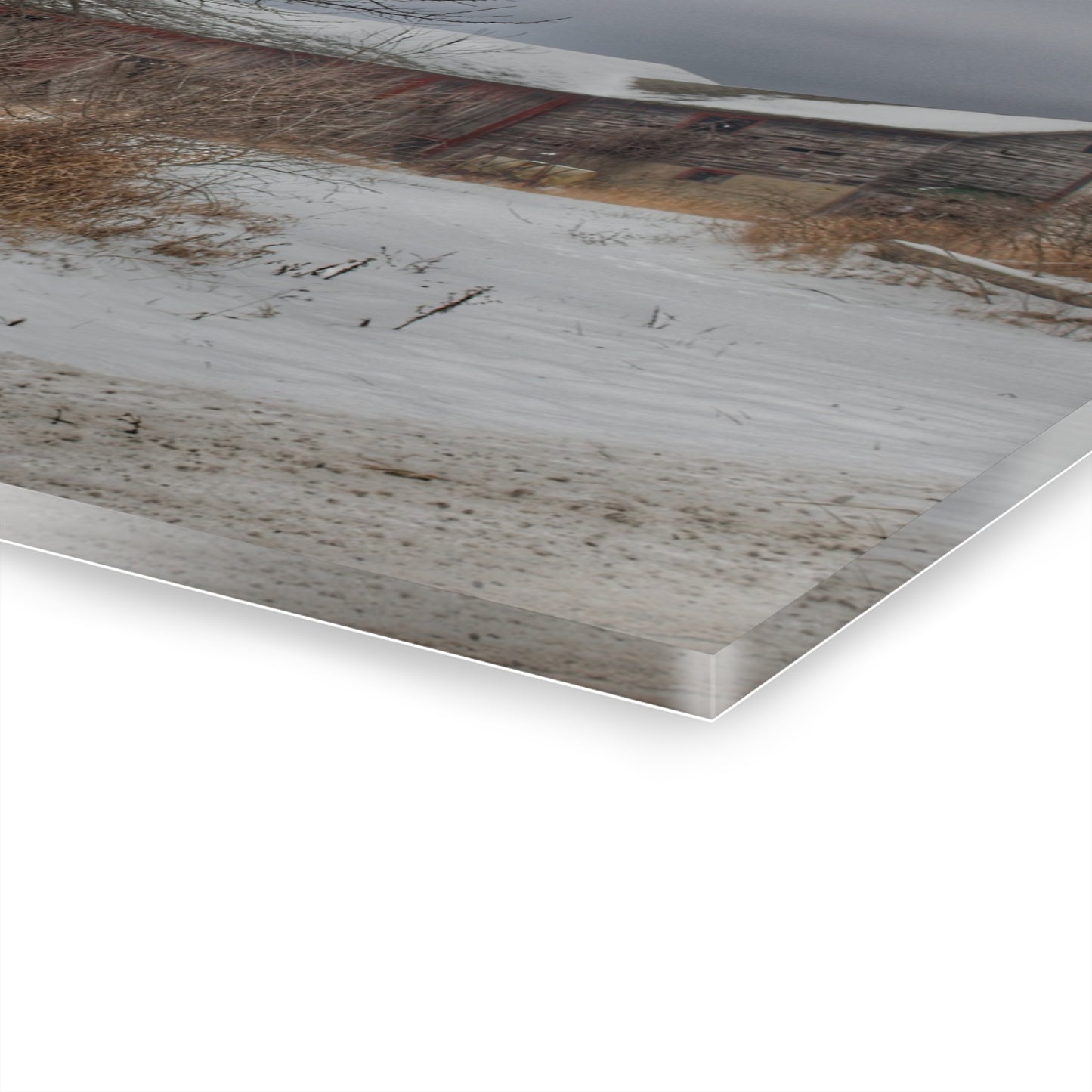 U R There Photography Midwinter Red Rustic Farmhouse Acrylic Wall Print