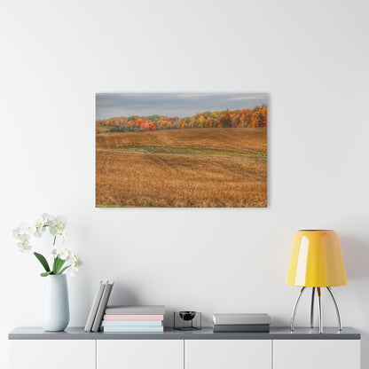 U R There Photography Colors of Fall on Lippincott Road Rustic Farmhouse Acrylic Wall Print